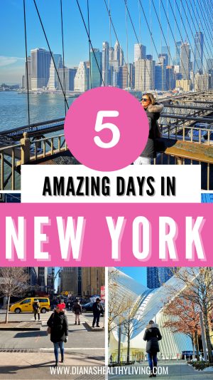new york in 5 days itinerary