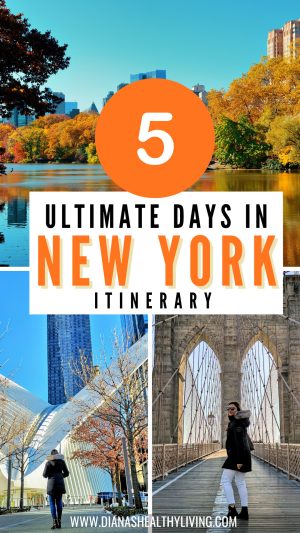 5 day itinerary for new york - nyc itinerary