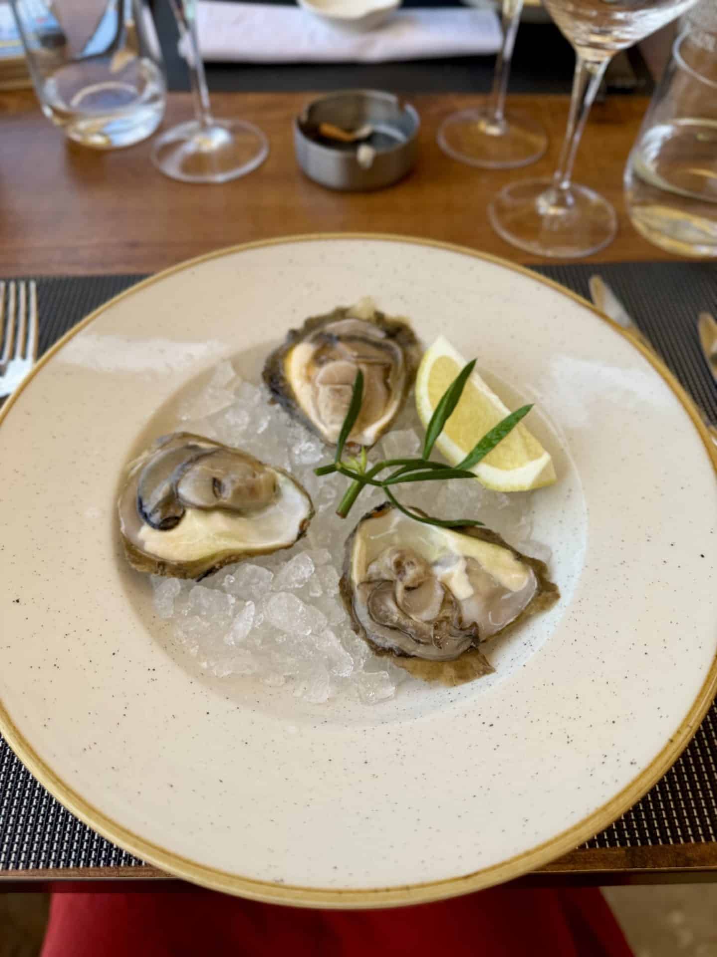 fresh croatian oysters at Bowa Dubrovnik