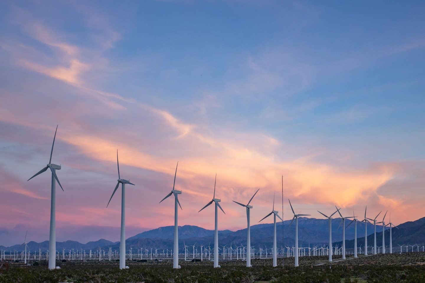 things to do in palm springs caliornia windmills at sunset