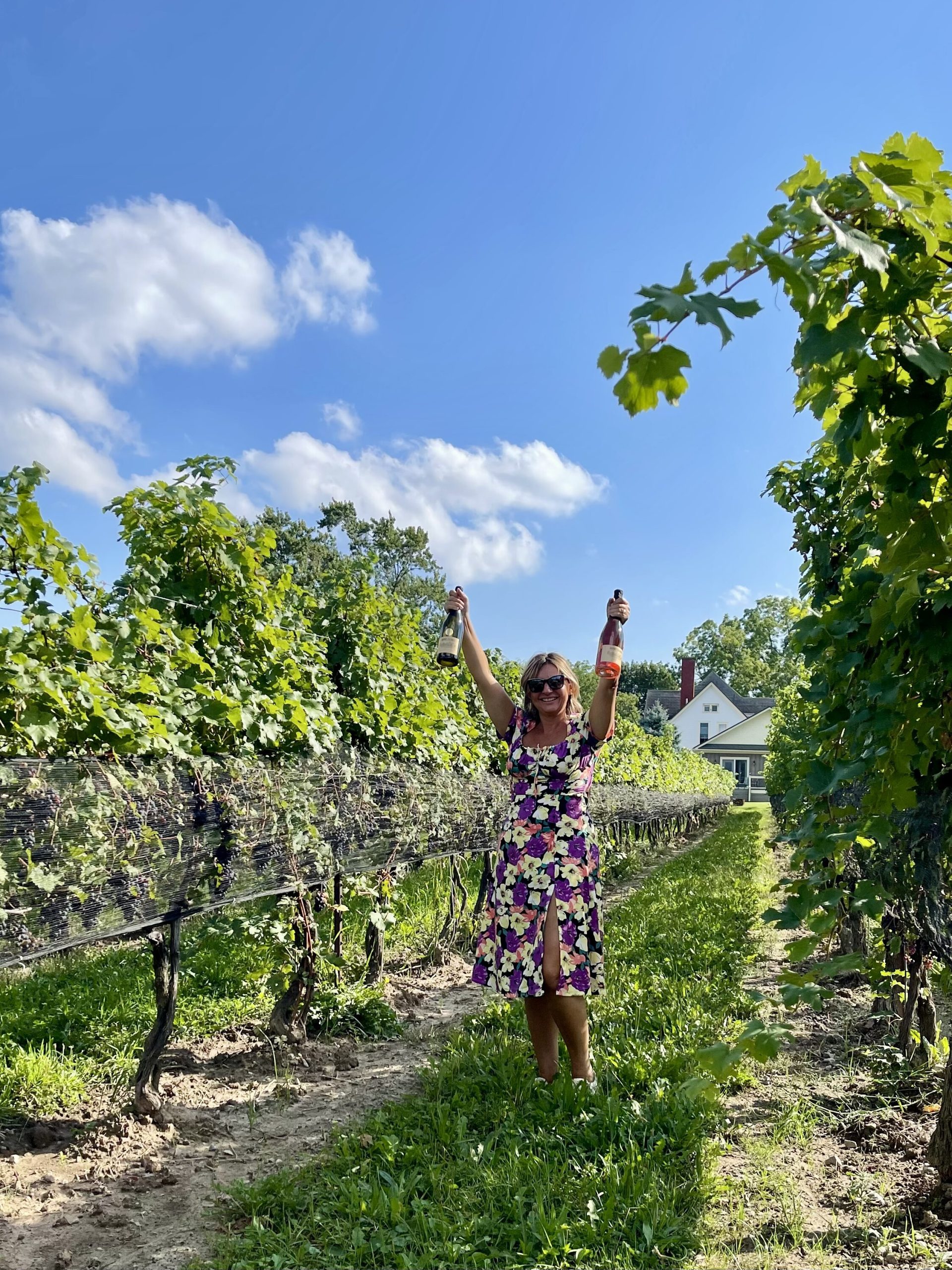 Discover the top 10 Niagara-on-the-Lake wineries with a full weekend wine tour itinerary, including tastings, restaurants, and vineyard tips.
