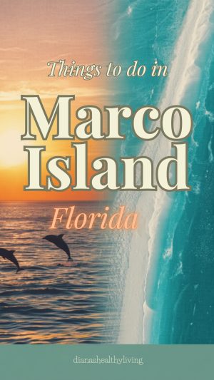 marco islands fl things to do in marco island. marco island in florida things to do in marco island marcos island fl marco island florida things to do marco island what to see things to do marco island things to do in marco