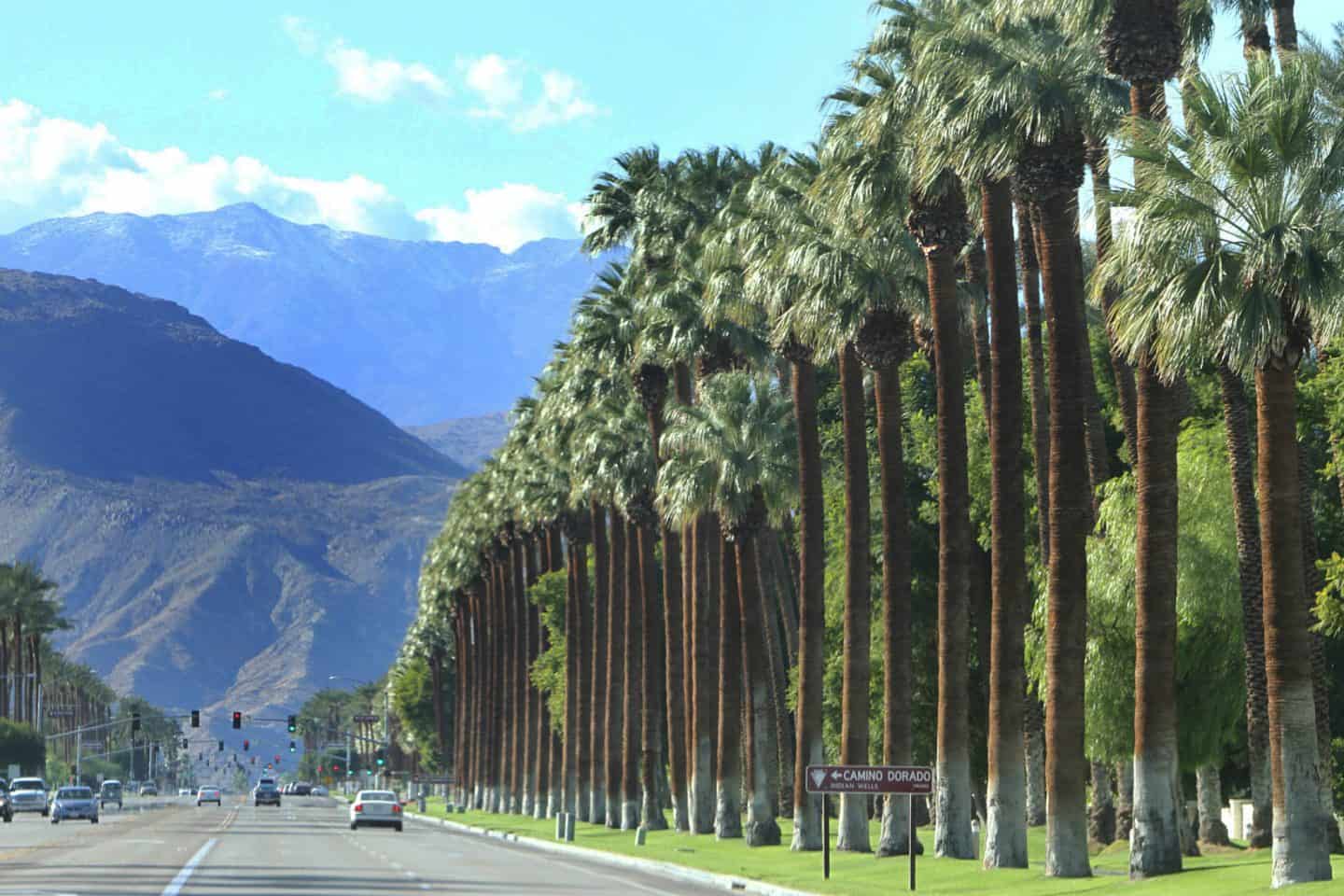 things to do in palm springs ca scenic drive of mountains and palm trees