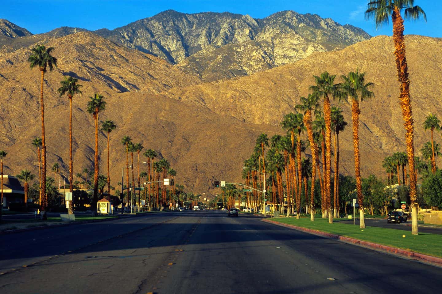 things to do in palm springs ca california palm spring stuff to do in palm springs things to do in palm springs california what to do in palm springs palm spring what to do to do in palm springs palm springs to do palm springs things to do palm spring to do best things to do in palm springs cool things to do in palm springs things to do palm springs things to see in palm springs