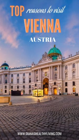 things to do in vienna