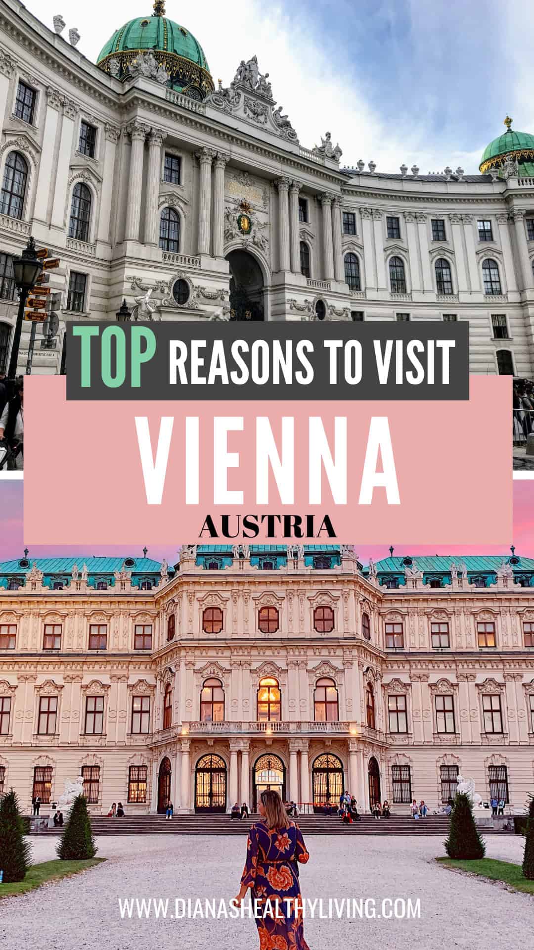 things to do in vienna