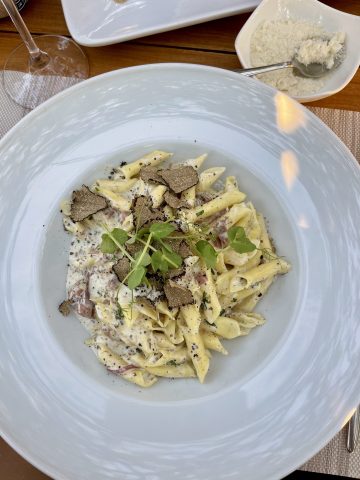 Truffled pasta with creamy sauce and shaved truffles on top