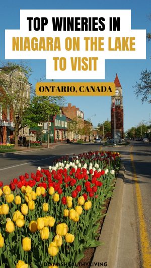 Discover the best Niagara-on-the-Lake wineries in Ontario, Canada! From Two Sisters to Peller Estates, plan your wine tasting weekend with vineyard views, restaurants & tours.