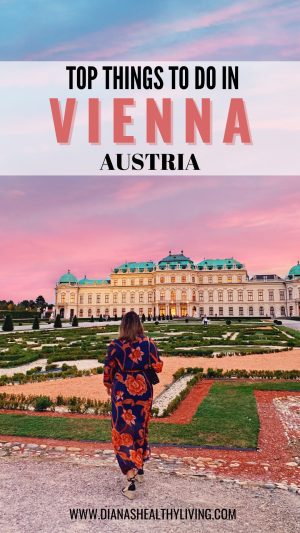 things to do in vienna austria
what to do in vienna austria