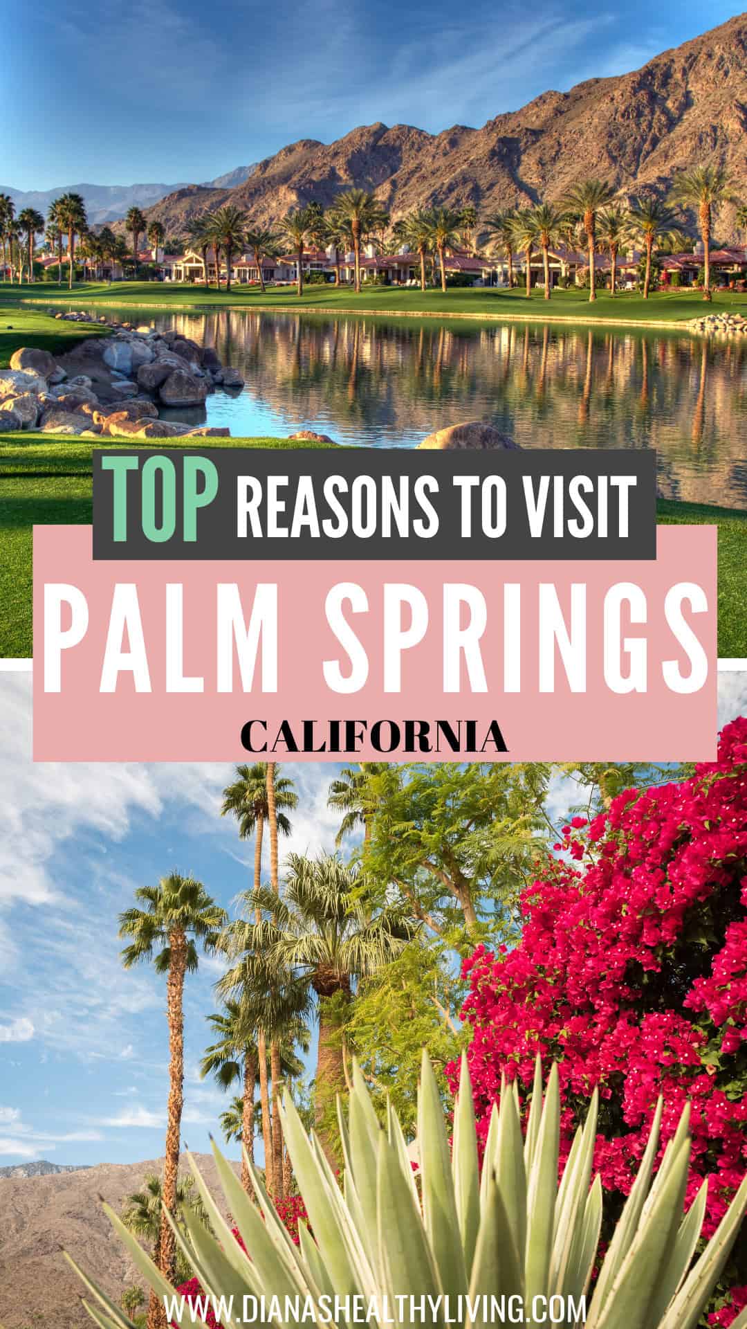 things to do in palm springs ca
california palm spring
stuff to do in palm springs
things to do in palm springs california
what to do in palm springs
palm spring what to do
to do in palm springs
palm springs to do
palm springs things to do
palm spring to do
best things to do in palm springs
cool things to do in palm springs
things to do palm springs
things to see in palm springs