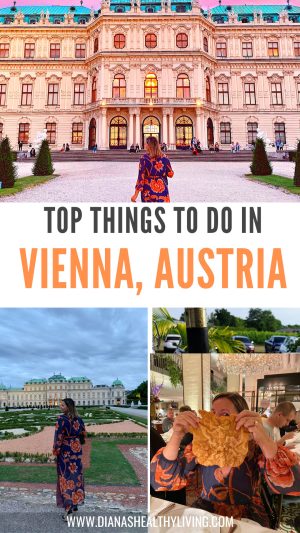 what to do in vienna austria