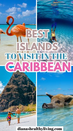 Best island in the caribbean pink flamingos, pig swimming in water woman in yellow swimsuit snorkeling, couple walking on beach view of piton mountain st. lucia