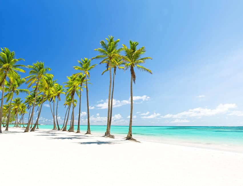 palm tree lined beach with powder white sand and crystal blue waters in punta canad dominican republic best caribbean islands to visit