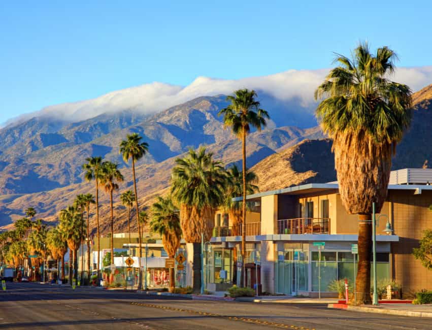 palm springs mountains and palm trees