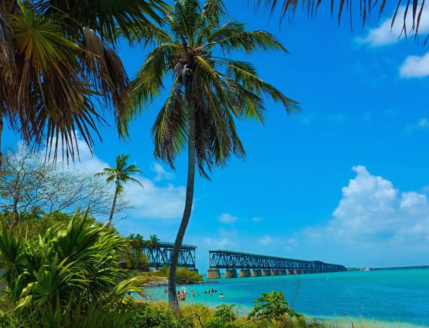 bridge in the florida keys with palm trees great places to visit in january
