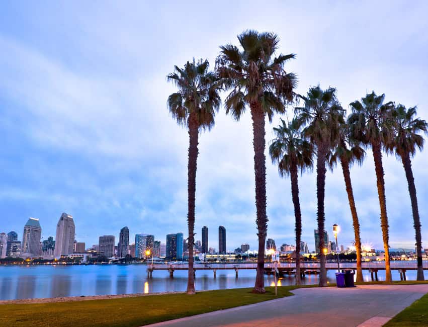 view of san diego skyline with palm trees great places to visit in january