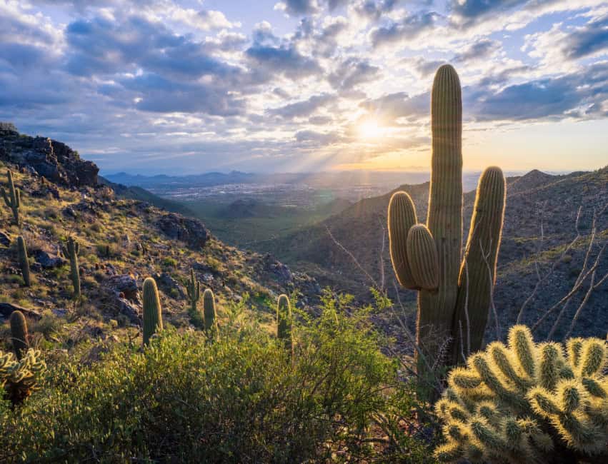 scottsdale arizona cactus great places to visit in january