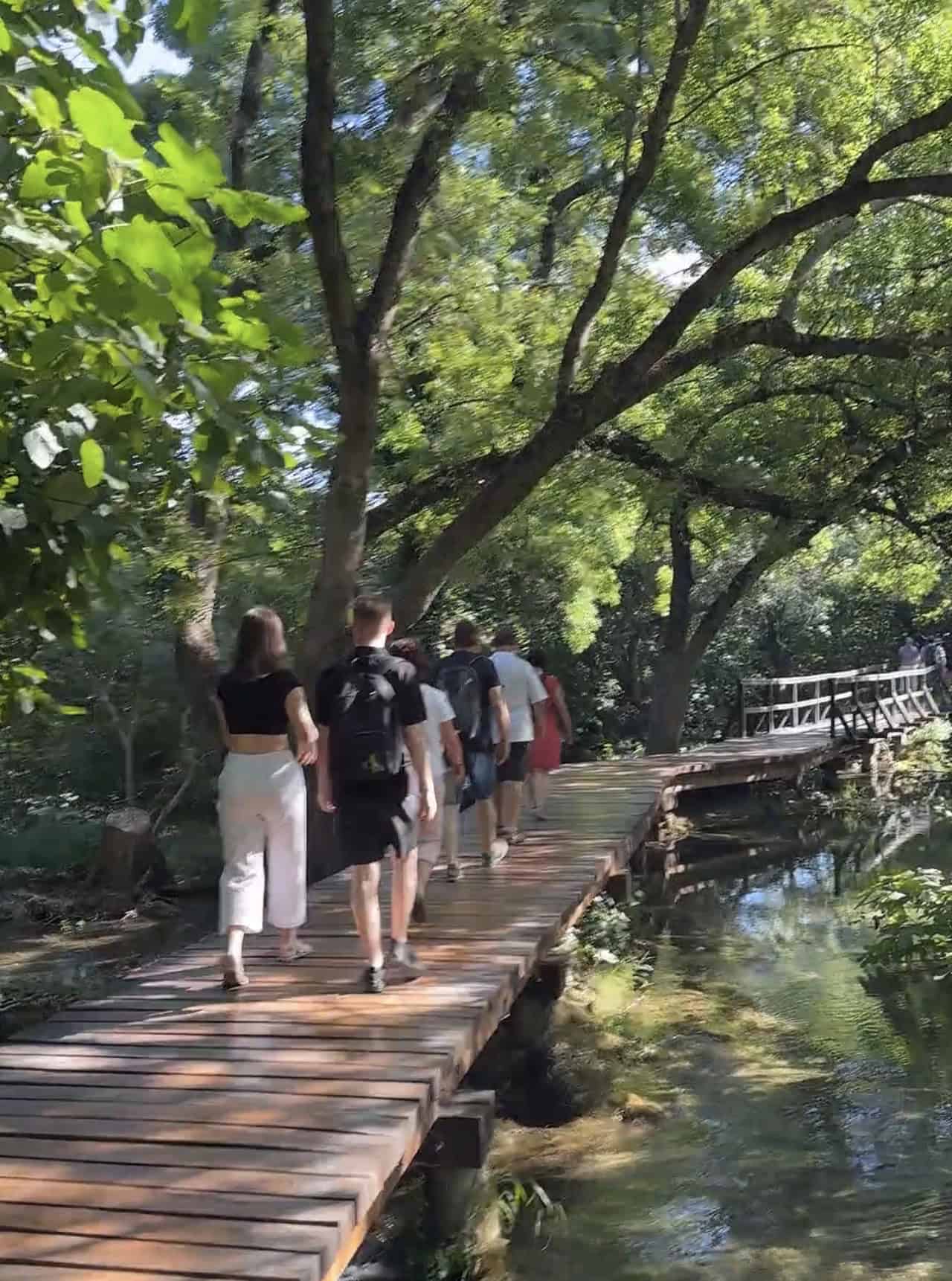 Wooden boardwalk hiking trail through lush forest at Krka National Park
