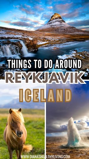 Explore the top things to do in Reykjav&iacute;k -must-see attractions every traveler should visit. From the Sun Voyager and Hallgr&iacute;mskirkja to geothermal pools and tours, find the best Reykjav&iacute;k points of interest in one guide.
