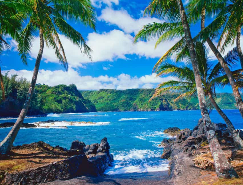view of the ocean with palm trees and green mountain tops in hawaii