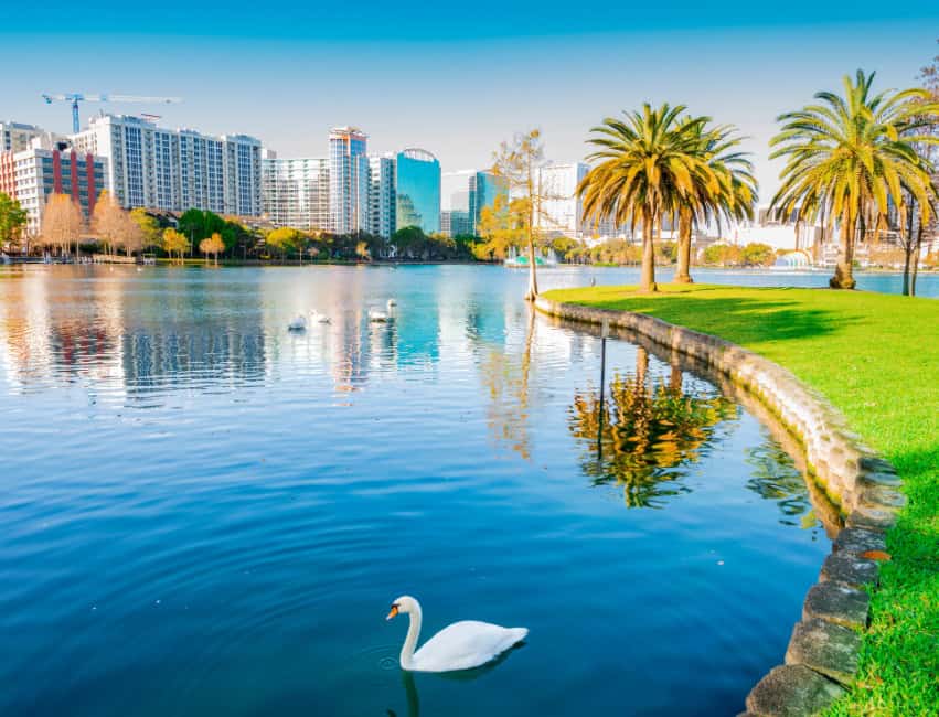 view of lake in orlando florida with swan and palm trees with buildings in background