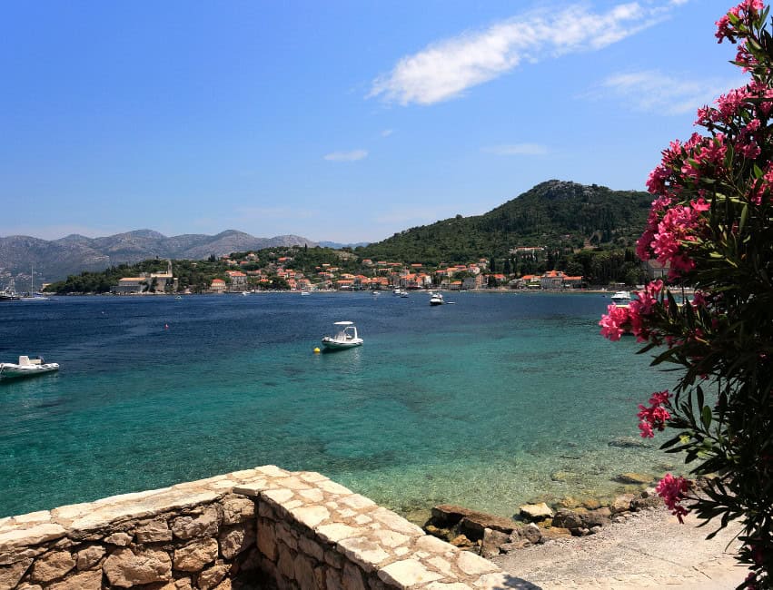 view from lopud island dubrovnik of adriatic sea with boats in the water, mountains in the background and pink flowers